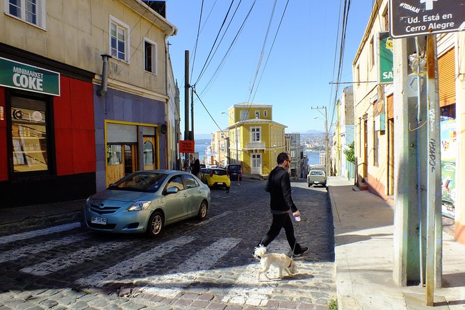 Valparaiso Port and Viña Del Mar Full-Day Tour From Santiago