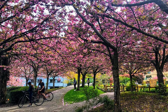 Vancouver City Tour With Cherry Blossom Festival Private - Cherry Blossom Viewing Locations