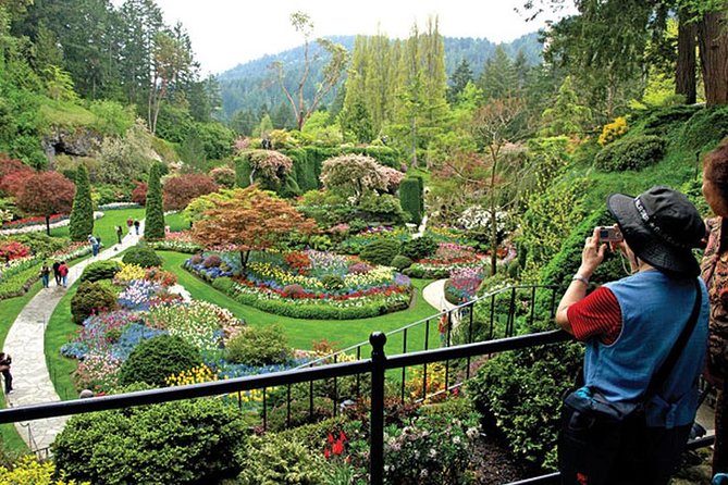 Vancouver-Victoria Tour Visit Craigdarroch Castle and Butchart Garden Private - Tour Highlights