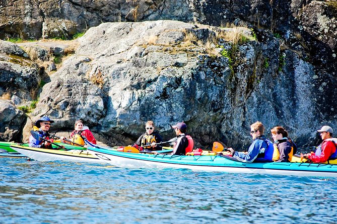 Victoria Harbour Kayak Tour - Tour Description