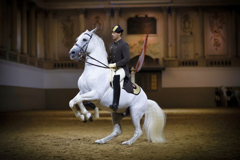 Vienna: Spanish Riding School 45-Minute Performance Show - Experience Highlights