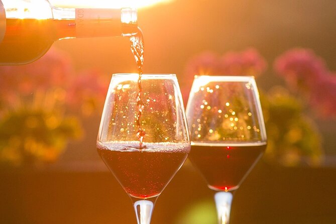 Vineyard Tour and Wine Tasting in Davron