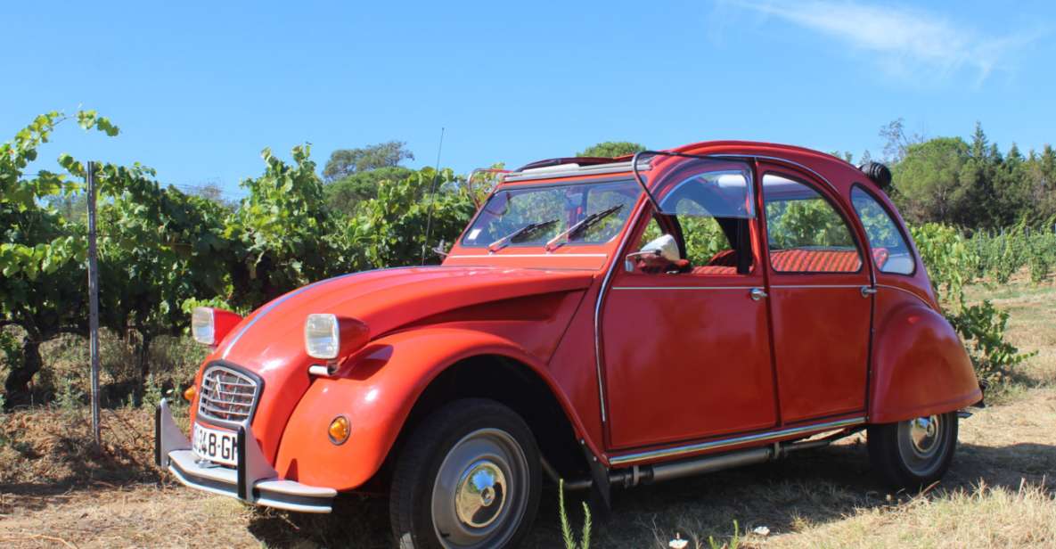 Vintage Wine Tour in Saint-Tropez - Booking Details for Vintage Wine Tour