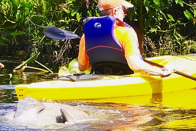 Wekiva River Guided Kayak Tour - Tour Overview