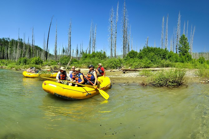 West Glacier: Full-Day Float and Raft on Flathead River - Tour Highlights