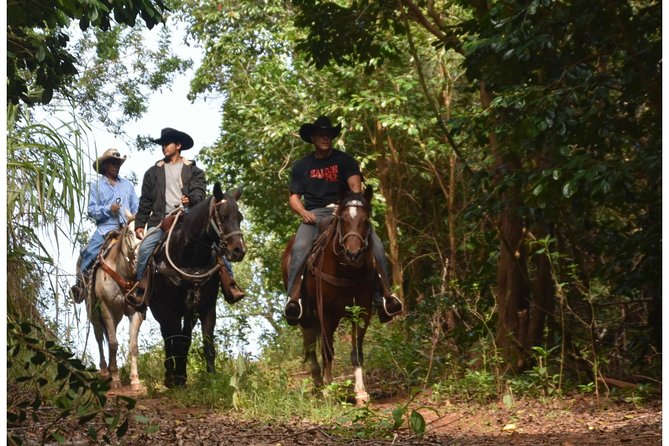 West Maui Mountain Waterfall and Ocean Tour via Horseback - Inclusions and Logistics