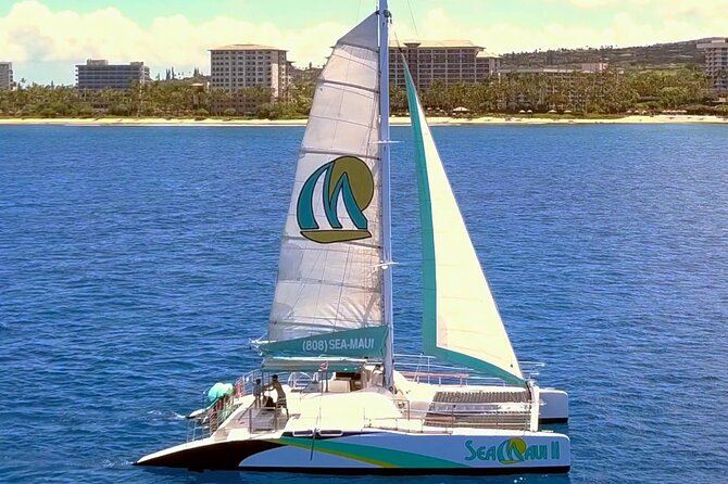 Whale Watching Cruise With Open Bar From Kaanapali Beach - Whale Watching Season