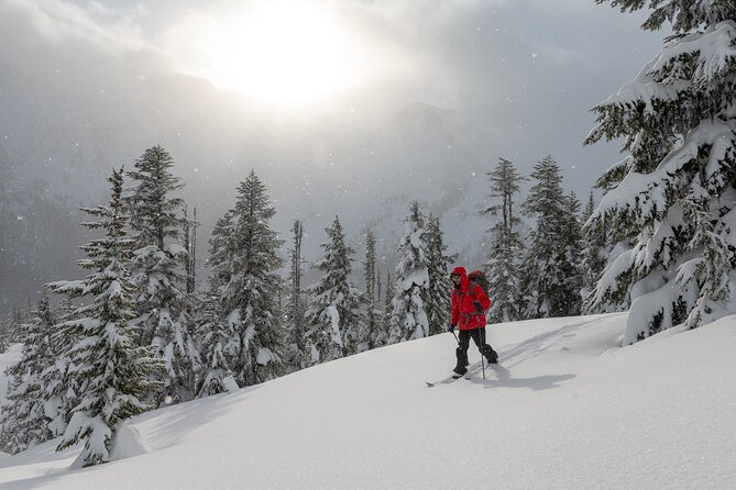 Whistler Backcountry Skiing and Splitboarding - Experience Overview