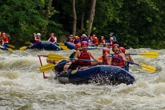 White Water Rafting Experience on the Upper Pigeon River - Experience Highlights