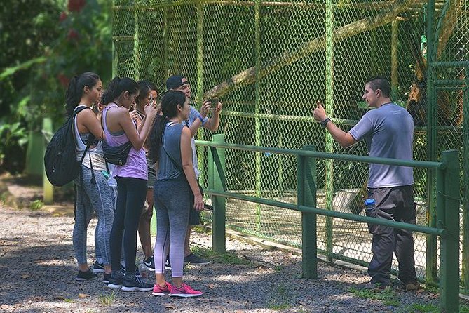 Wildlife Rescue Center Tour in Costa Rica