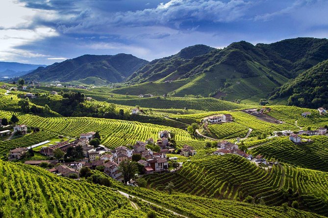 Wine and Food Tour in the Prosecco Hills From Venice