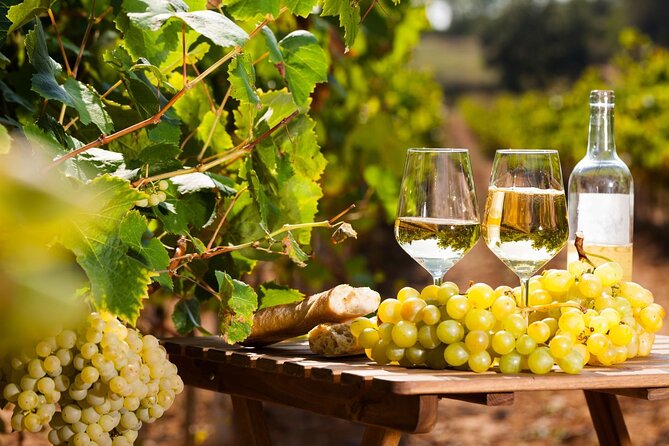 Wine Tasting, Provencal Market, & Countryside Full-Day Tour - Tour Highlights