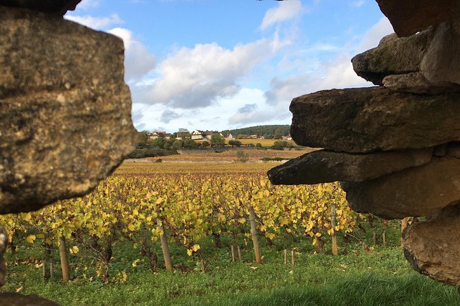 Wine Tour – Meursault, Its Prestigious Whites