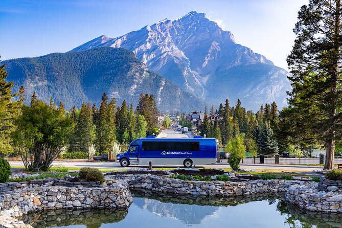 Year Round Tour: Banff and Its Wildlife - Wildlife Encounters