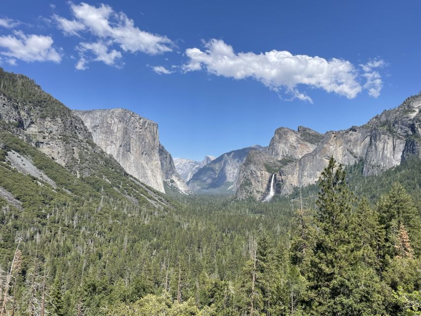 Yosemite, Giant Sequoias, Private Tour From San Francisco - Booking and Logistics Details