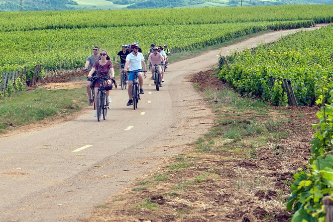 1 Day E-Bike and Wine Tour in Cote De Nuits - Itinerary Overview