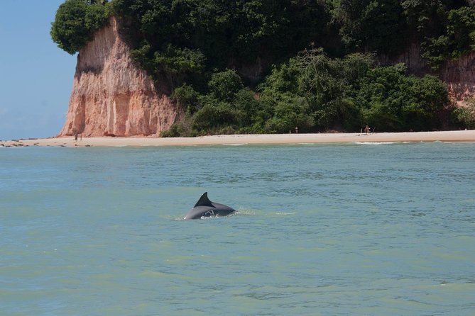 1 Day Tour to Pipa Beach / RN - Departing From Natal / RN - Cancellation Policy