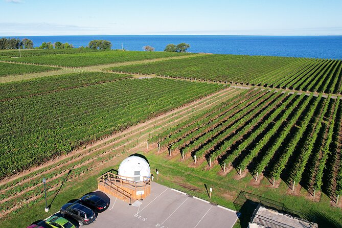 1 Hour Private Vineyard Dome Experience in Niagara-on-the-Lake - Inclusions and Logistics