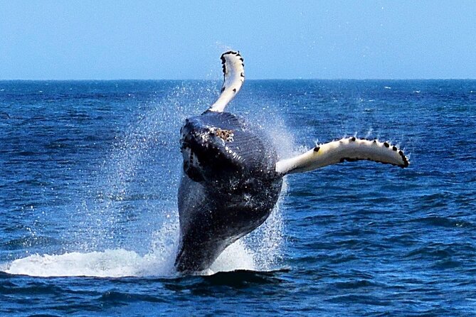 2-Hour Guided Boat Tour From St. Johns - Departure Details