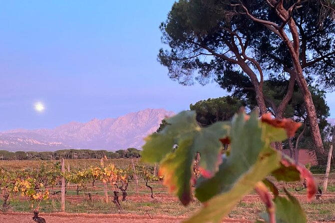 3-Hour Private Wine Tasting Tour Around Ile Rousse - Booking and Cancellation Policies