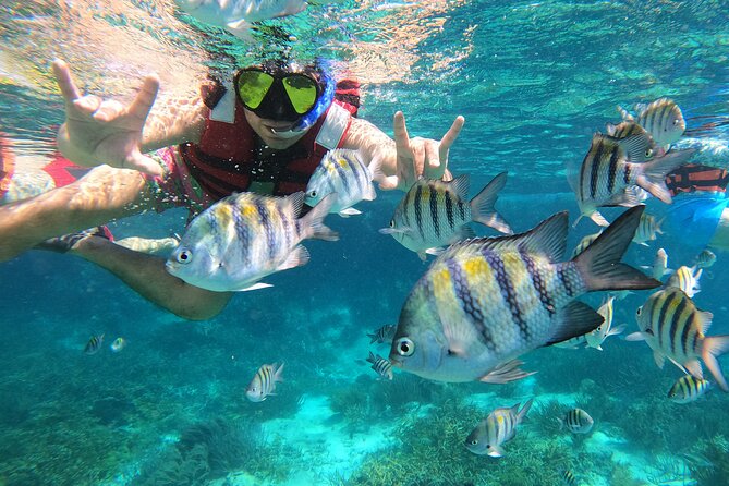 3 Hours VIP Semiprivate Tour Isla Mujeres Full Snorkeling Experience - Additional Information