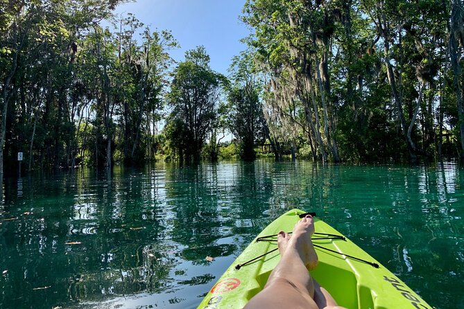4 Hour Single Kayak Rental In Crystal River, Florida - Logistics and Operational Information