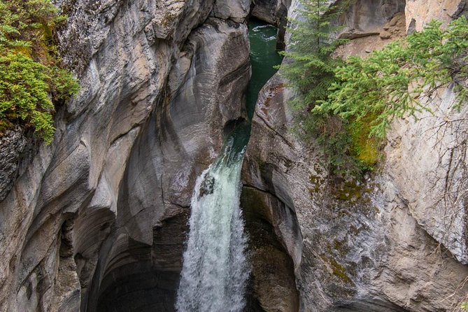 5.5-Hour Jasper Wildlife and Waterfalls Tour With Maligne Lake Cruise From Jasper - Scenic Delights