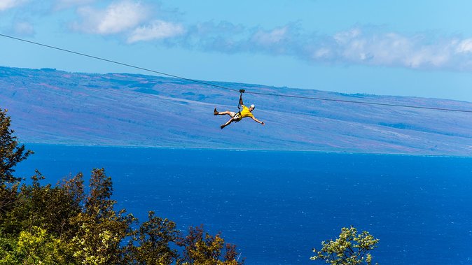 8 Line Kaanapali Zipline Adventure on Maui - Professional Guided Tour