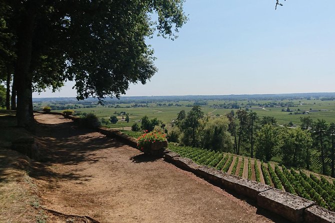 A Day in Saint-Émilion and Its Châteaux in a Private Tour (Van Luxe) - Winery Visits