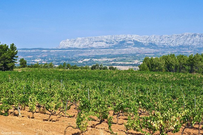 Aix-en-Provence Half-Day Wine Tour Including Tasting, Transfer - Traveler Experience