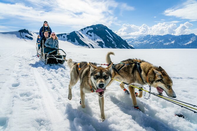 Alaska Helicopter and Glacier Dogsled Tour - ANCHORAGE AREA - Inclusions