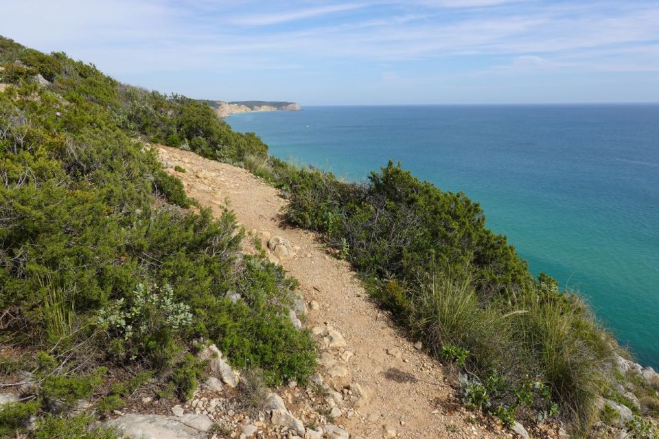 Algarve: Guided WALK in the Natural Park South Coast - Activity Highlights