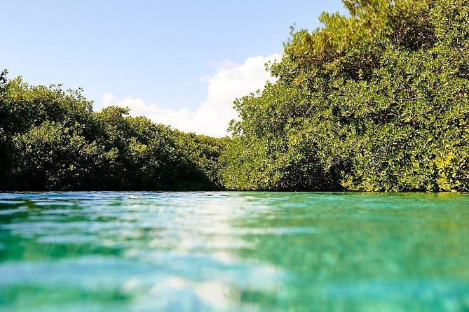 Amazing Beginner Dive in Tulum Cenote (Or Refresher Dive) - Weather Contingency Plan