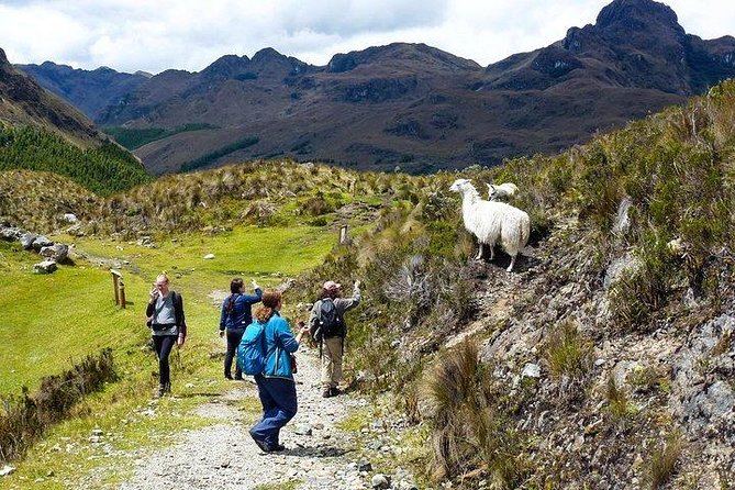 Amazing Cajas National Park Tour From Cuenca - Tour Inclusions