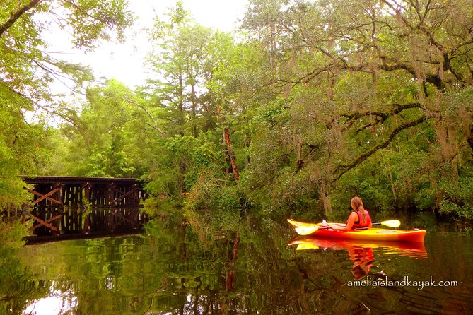 Amelia Island Kayaking Tour  - Jacksonville - Inclusions for Participants