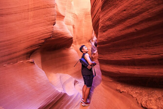 Antelope Canyon and Horseshoe Bend Small Group Tour - Vehicle and Driver Quality