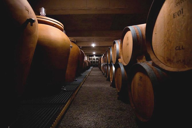 Ardèche Wine Estate Visit  - France - Winemaking Process Exploration