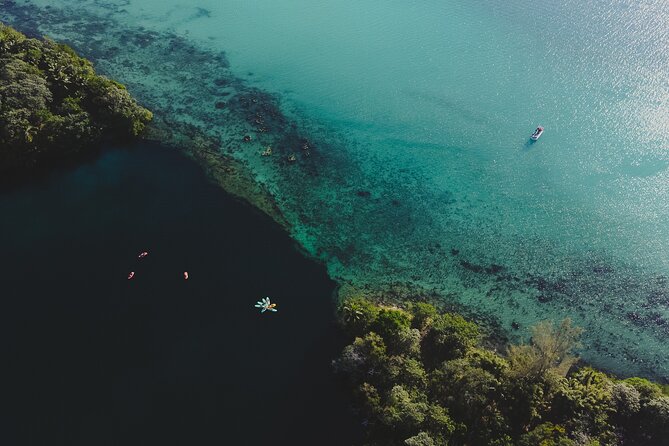 Bacalar Sunrise Stand up Paddle Board Tour With Breakfast - Cancellation Policy Details