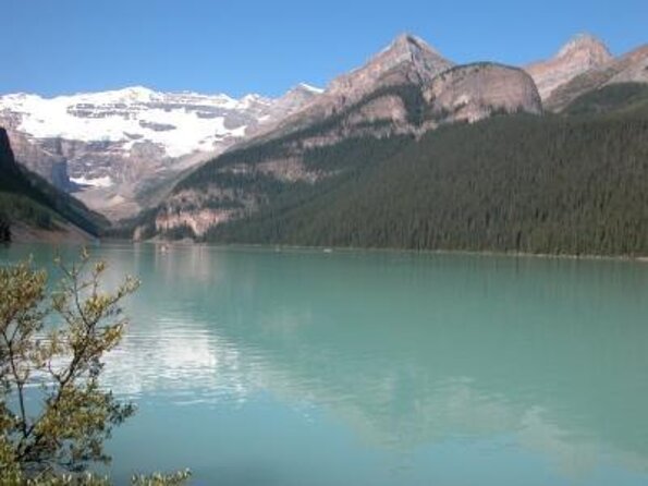 Banff, Lake Louise & Johnston Canyon Winter Wonderland Tour - Traveler Experience