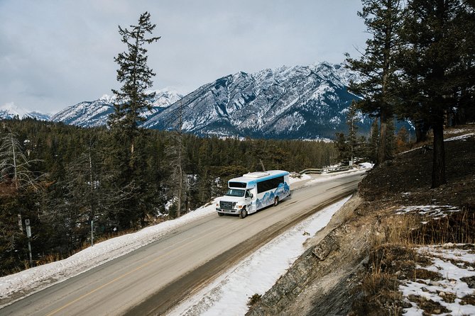 Banff Winter Wonder Tour - Featuring Nightrise at Banff Gondola - Nightrise Experience Highlights