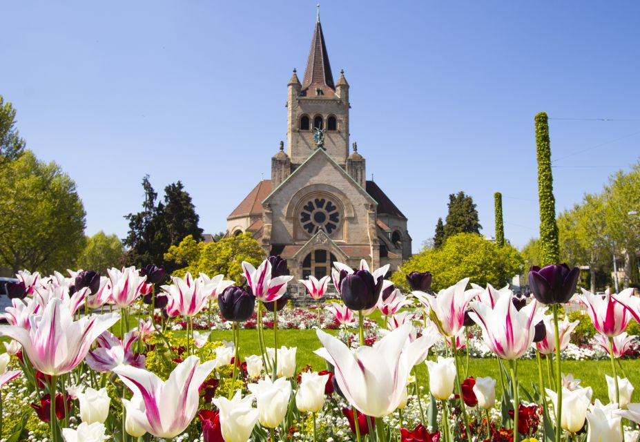 Basel: Capture the Most Photogenic Spots With a Local - Discover Iconic Views and Hidden Charm