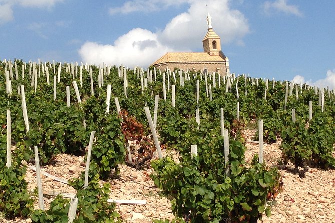 Beaujolais Crus Wines & Castles (2:00 Pm - 6:30 Pm) - Small Group Tour From Lyon - Inclusions and Amenities