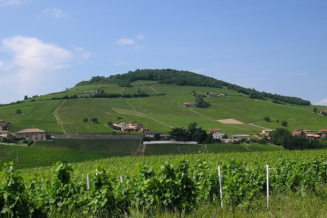 Beaujolais Half Day Wine Tasting Tour - Village Visits