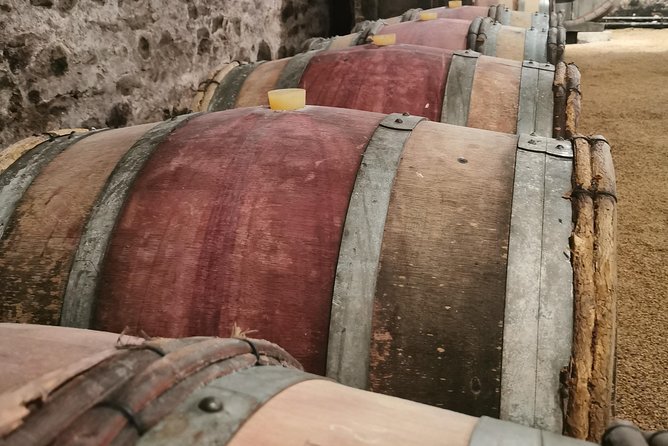 Beaujolais Wine Tasting Day Tour From Lyon - Customer Reviews