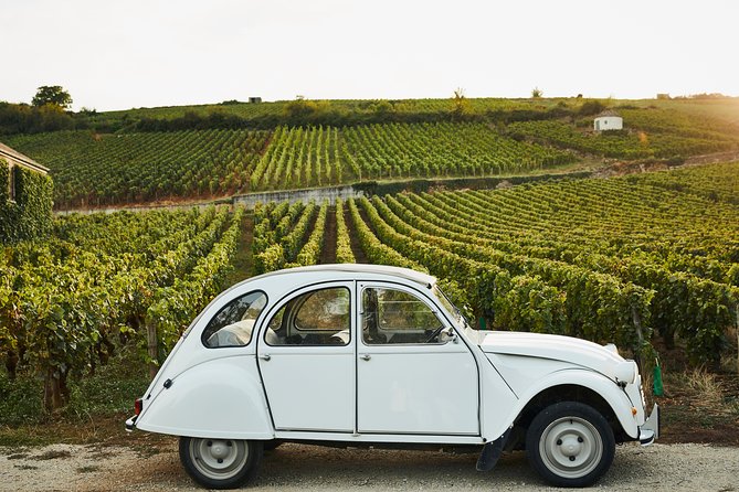 Beaune Small-Group Burgundy Wine Tasting and Estate Tour - UNESCO Heritage Site Highlights