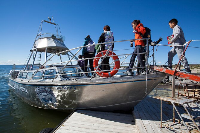 Belugas, Bears and Blooms in Churchill Manitoba - Logistics