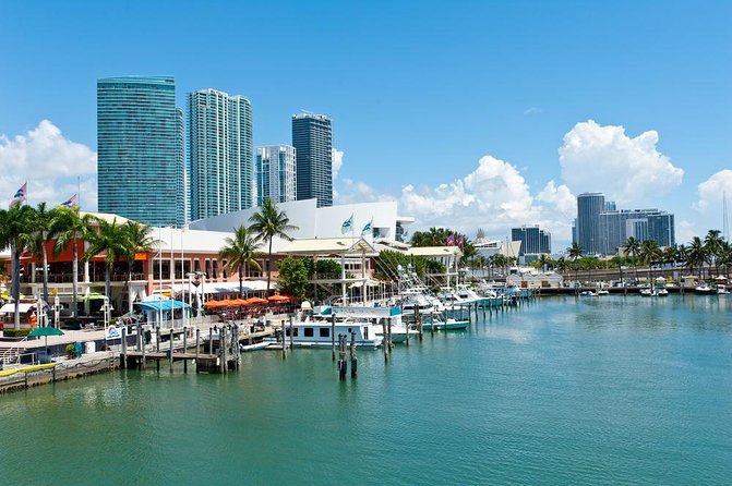 Biscayne Bay Sightseeing Cruise - Tour Logistics and Guidelines