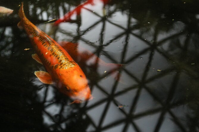 Bloedel Conservatory Admission Ticket - Provider and Booking Details