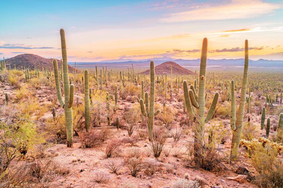 Box Canyon and Pinal Mountains Half-Day ATV Tour - Activity Details