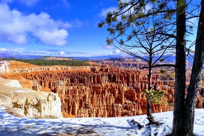 Bryce Canyon and Zion National Park Day Tour From Las Vegas - Customer Reviews